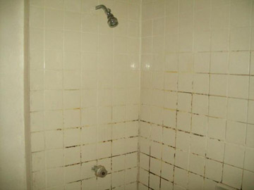 плесень в ванной комнате. Фото