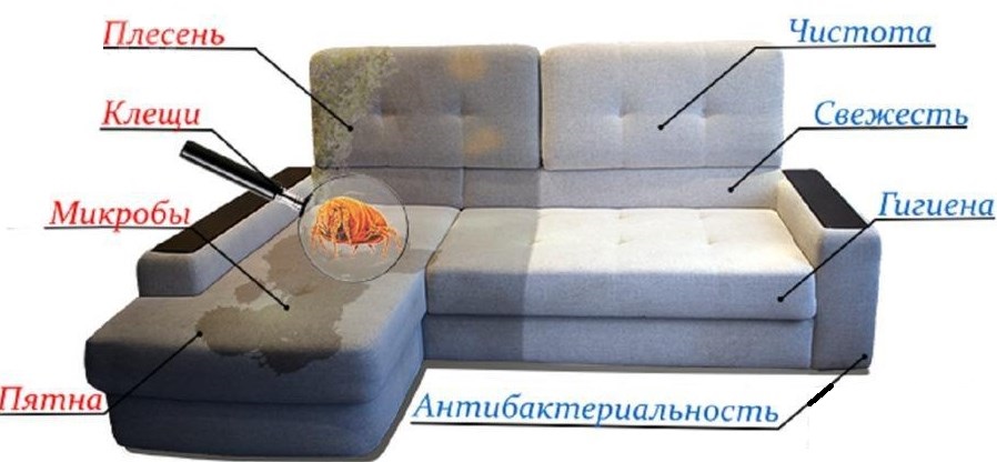 Чистка мягкой мебели на дому в Киеве