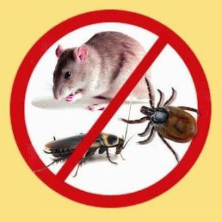 Борьба против крыс, мышей, тараканов, муравьев