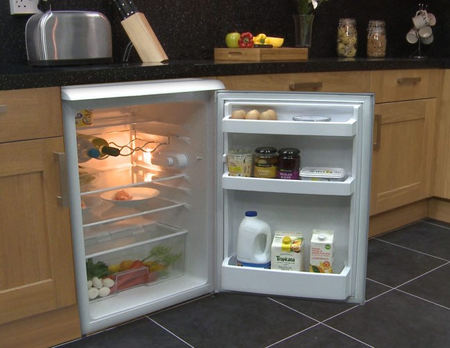 Какой холодильник выбрать: однокамерный или двухкамерный?