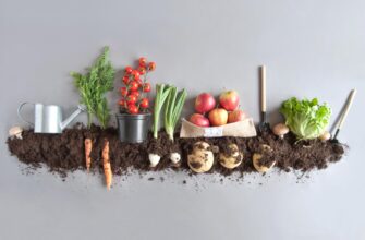 Свежие овощи на дом и в офис купить онлайн