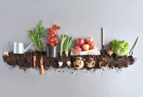 Свежие овощи на дом и в офис купить онлайн