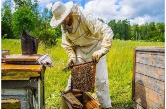 Бджолиний інвентар - все що треба знати пасічнику